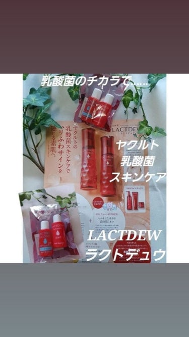 shiny_blush_d1n   おぜひめ on LIPS 「🥛Yakult🥛LACTDEW🥛ラクトデュウこちらは、サンプル..」（1枚目）