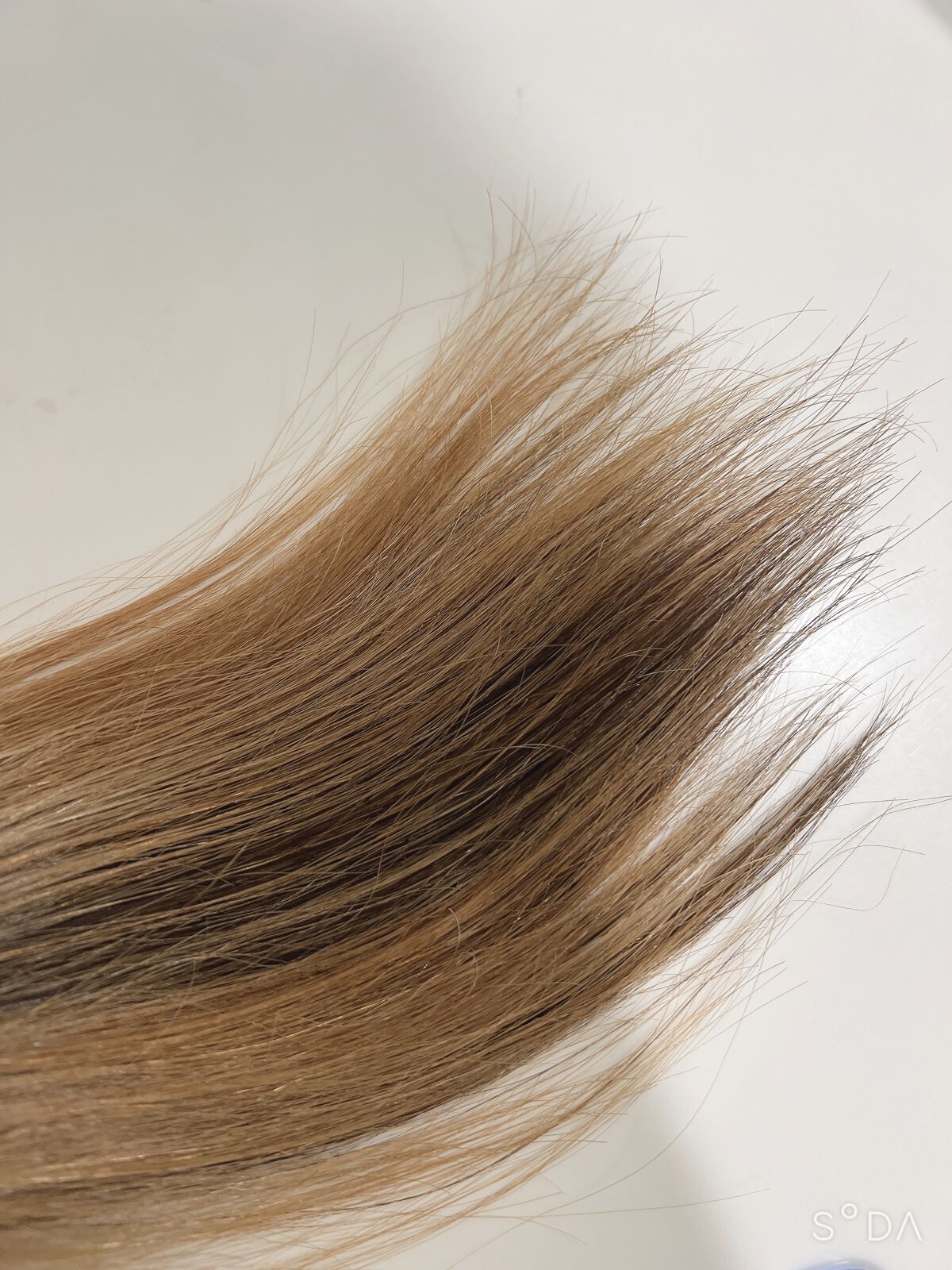 美容液ヘアオイル/アルガネーゼ/ヘアオイルを使ったクチコミ(3枚目)