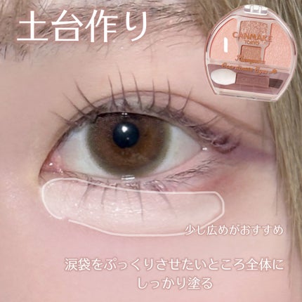 プランぷくコーデアイズ/キャンメイク/パウダーアイシャドウを使ったクチコミ(3枚目)
