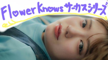 サーカスシリーズ12色アイシャドウパレット /FlowerKnows/アイシャドウパレットを使ったクチコミ（1枚目）