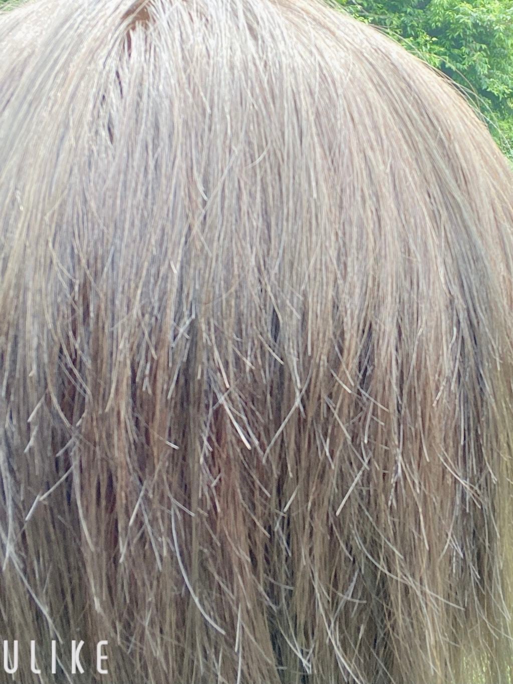 泡カラー/リーゼ/ヘアカラーを使ったクチコミ(6枚目)