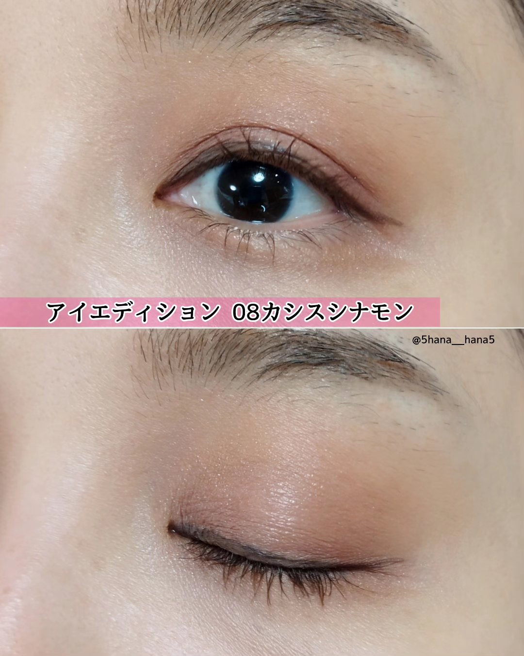 エテュセ アイエディション(カラーパレット) 08 カシスシナモン/ettusais/アイシャドウパレットを使ったクチコミ（3枚目）