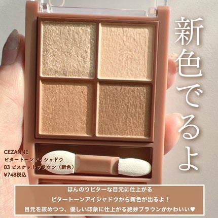 ビタートーンアイシャドウ/CEZANNE/パウダーアイシャドウを使ったクチコミ(2枚目)