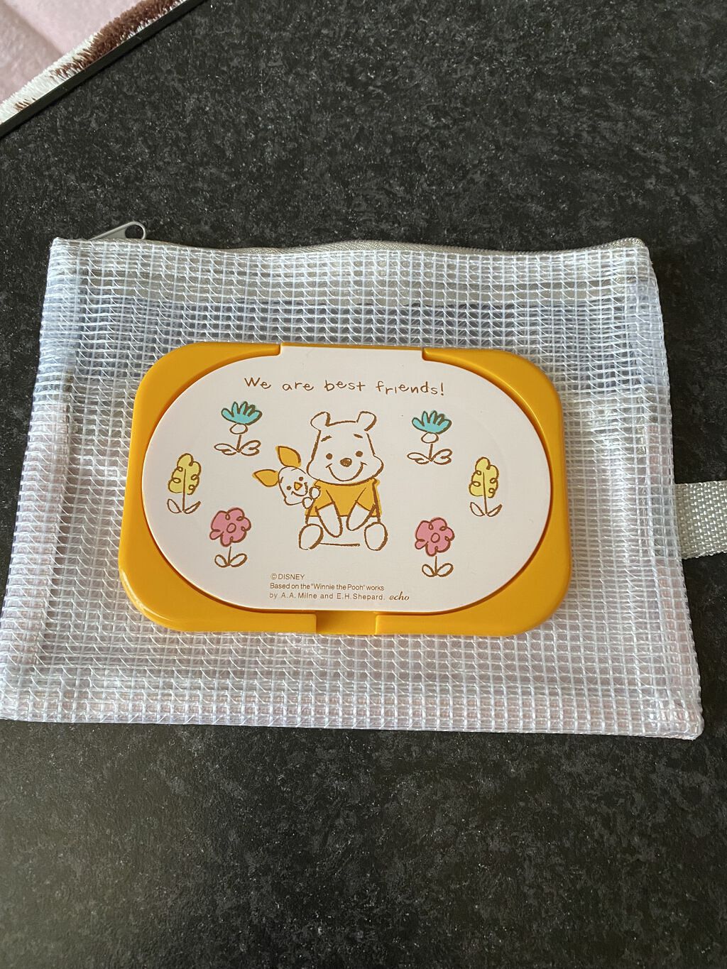 セリア ウエットシートのフタミニのクチコミ「こんばんは♪

✼••┈┈••✼••┈┈••✼••┈┈••✼••┈┈••✼

セリアA6ポーチ.....」（2枚目）