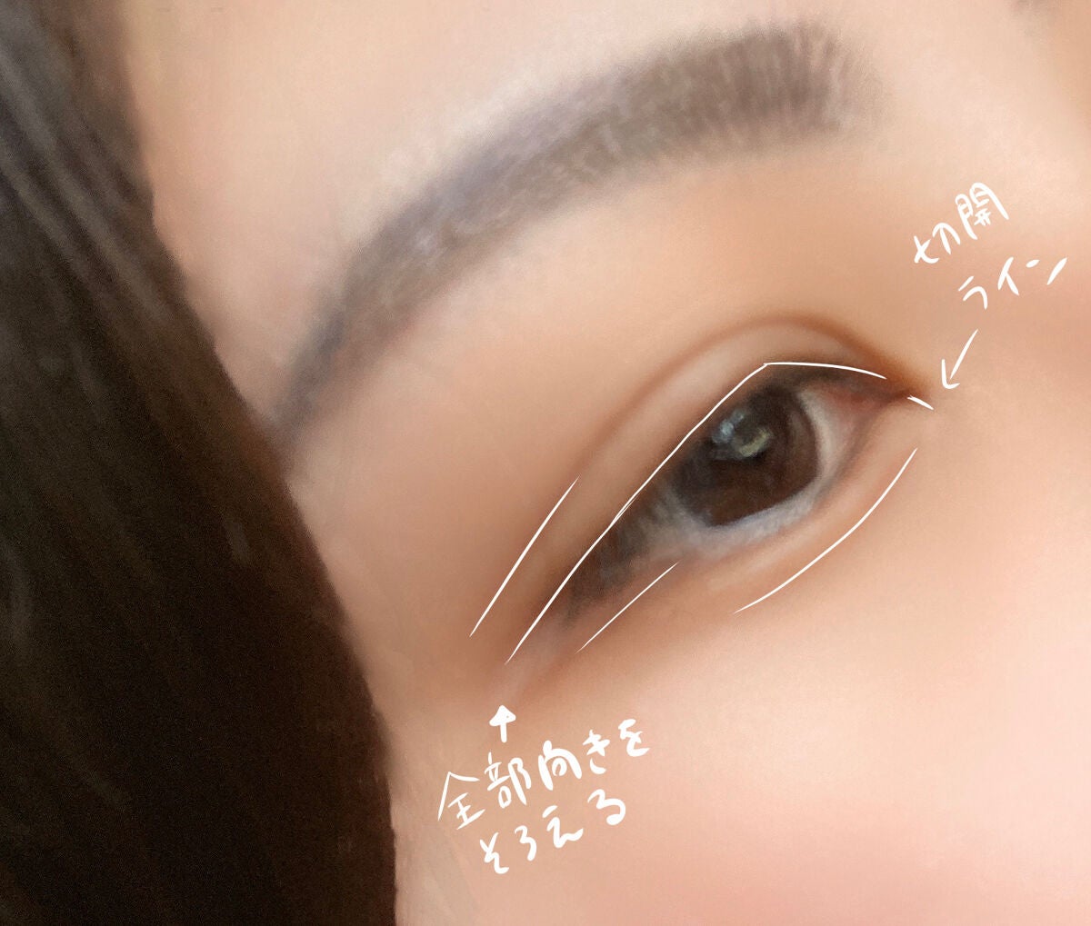 パーフェクトマルチアイズ/キャンメイク/アイシャドウパレットを使ったクチコミ(3枚目)