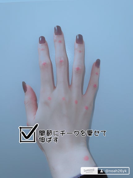 シーグラム カラーブルーム リキッドブラッシュ/SHEGLAM/リキッドチークを使ったクチコミ(5枚目)