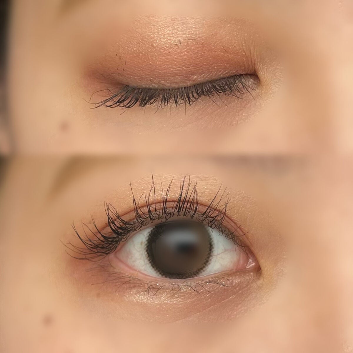 タルトレット E アマゾニアンクレイ パレット/tarte/アイシャドウパレットを使ったクチコミ(3枚目)