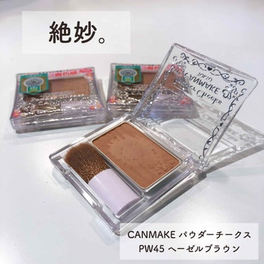 CANMAKE パウダーチークスPW45 ヘーゼルブラウン
------------------------------------------------

随分と前の限定品ですが、個人的需要にぴった