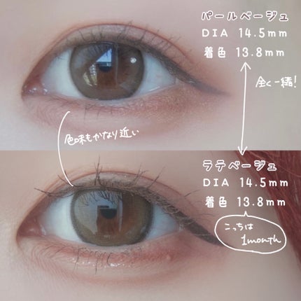 エバーカラーワンデー ナチュラル/エバーカラー/ワンデー(1DAY)カラコンを使ったクチコミ(4枚目)