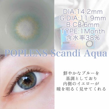 SCANDI(スカンディ) グレー/OLENS/カラーコンタクトレンズを使ったクチコミ（3枚目）