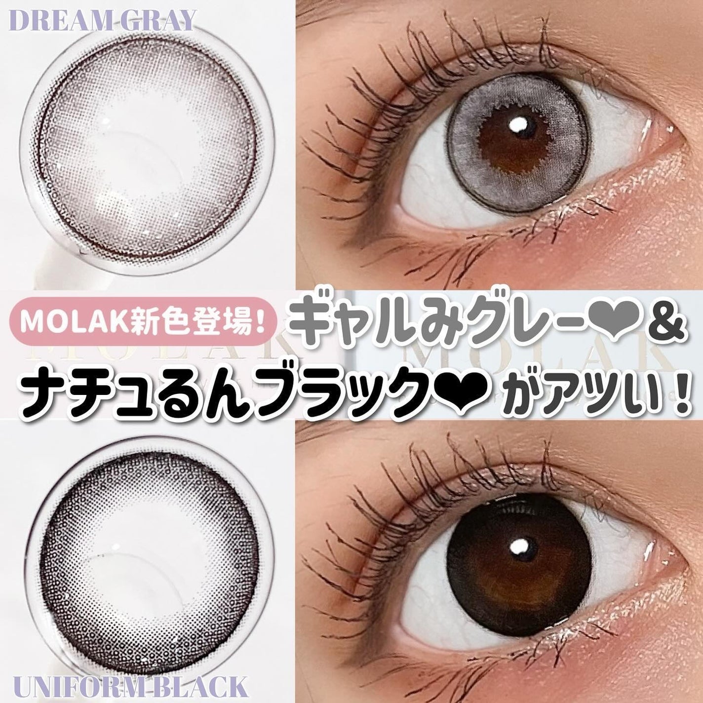 MOLAK 1day/MOLAK/ワンデー(1DAY)カラコンを使ったクチコミ(1枚目)