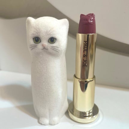 アニバーサリー リップスティック/PAUL & JOE BEAUTE/口紅を使ったクチコミ(1枚目)