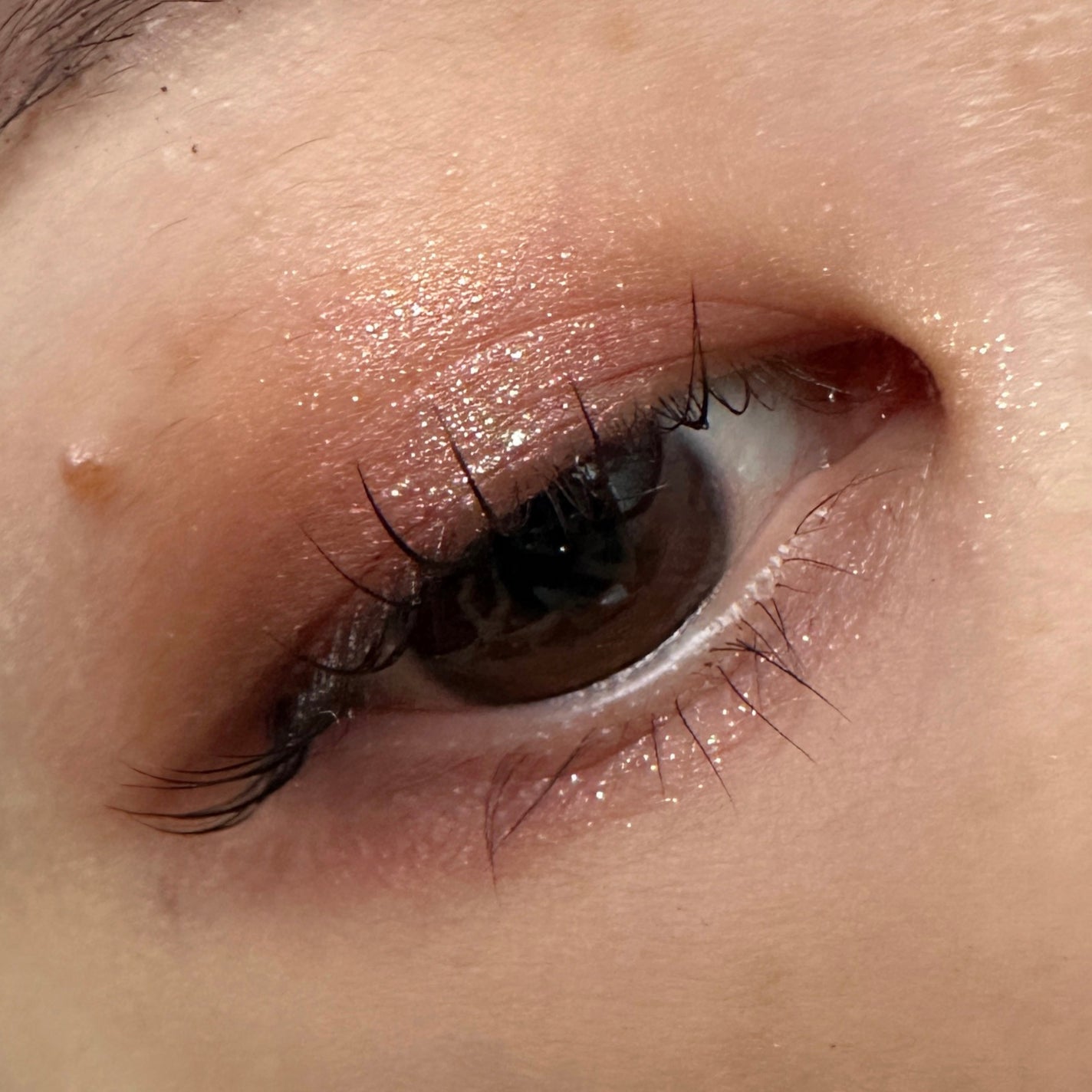 エレガンス ヌーヴェル アイズ/Elégance/アイシャドウパレットを使ったクチコミ(3枚目)