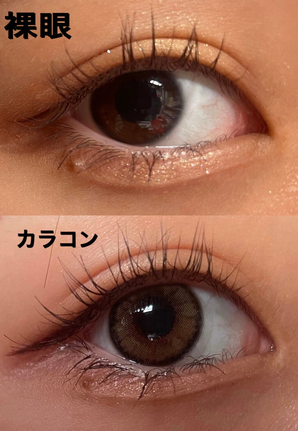 MOLAK 1day/MOLAK/ワンデー(1DAY)カラコンを使ったクチコミ(3枚目)