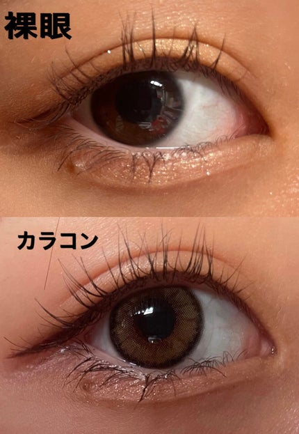 MOLAK 1day/MOLAK/ワンデー(1DAY)カラコンを使ったクチコミ(3枚目)