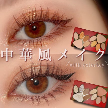 トラ十色アイシャドウパレット/COLORKEY/アイシャドウパレットを使ったクチコミ(1枚目)