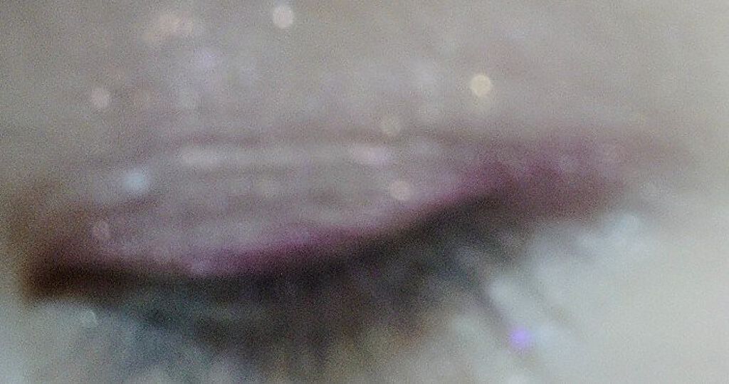 パーフェクトスタイリストアイズ/キャンメイク/アイシャドウパレットを使ったクチコミ（1枚目）