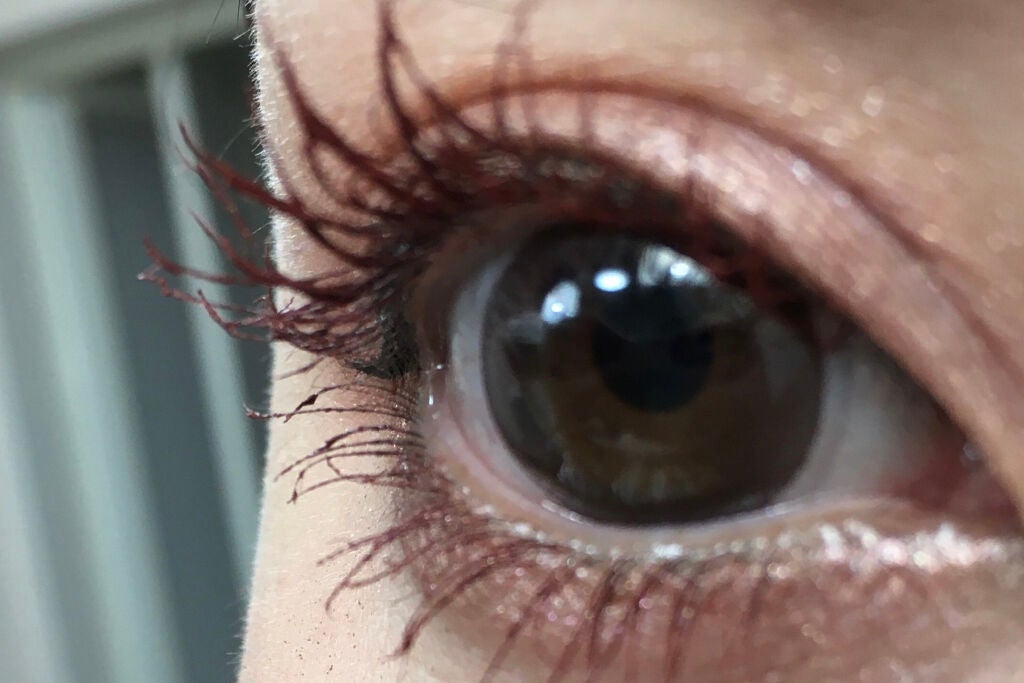 フルエクステンションマスカラ/Elégance/マスカラを使ったクチコミ(2枚目)