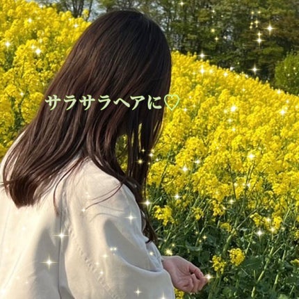 プロフェッショナルヘアブラシ ニューマティックピン 965/ACCA KAPPA(アッカカッパ)/ヘアブラシを使ったクチコミ(3枚目)