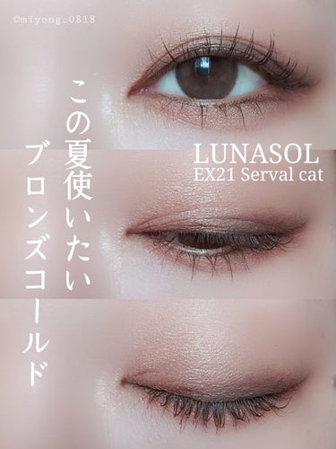 アイカラーレーション EX21 Serval Cat（限定発売）/LUNASOL/アイシャドウパレットを使ったクチコミ（1枚目）