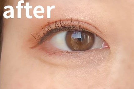 トーンアップアイシャドウ/CEZANNE/アイシャドウパレットを使ったクチコミ(5枚目)