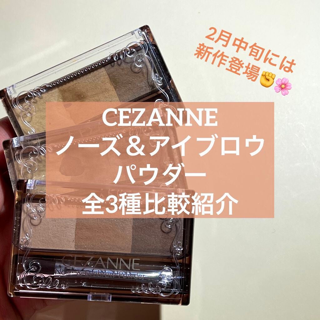 ノーズ&アイブロウパウダー/CEZANNE/パウダーアイブロウを使ったクチコミ(1枚目)