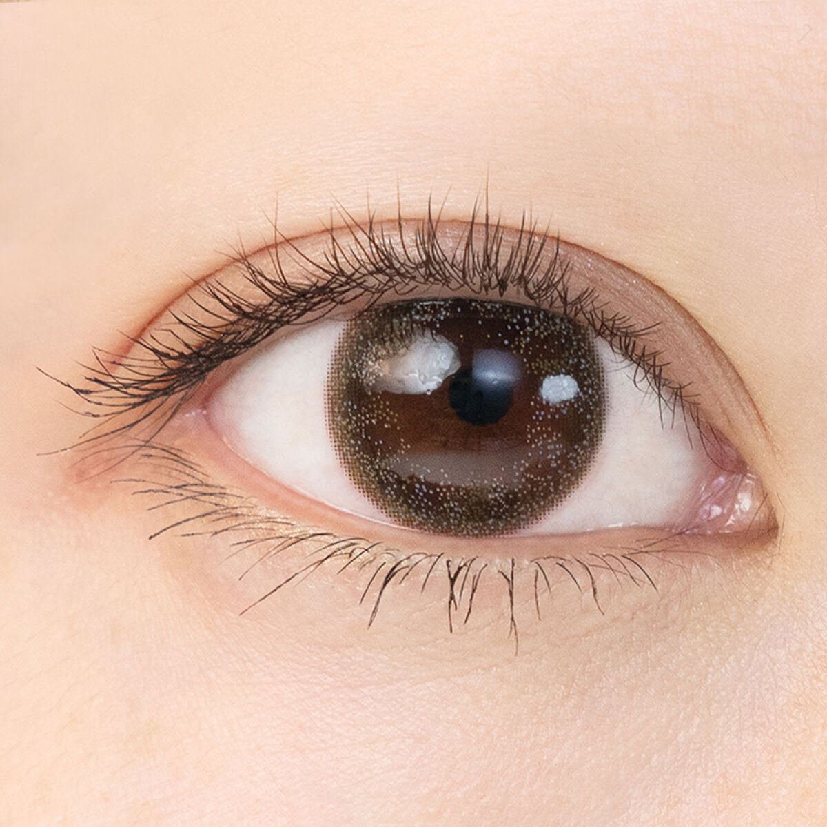 OvE（オヴィ） 1day OvE7