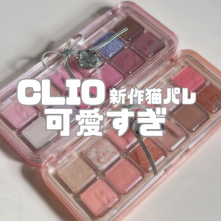 プロ アイ パレット エアー/CLIO/アイシャドウパレットを使ったクチコミ(1枚目)