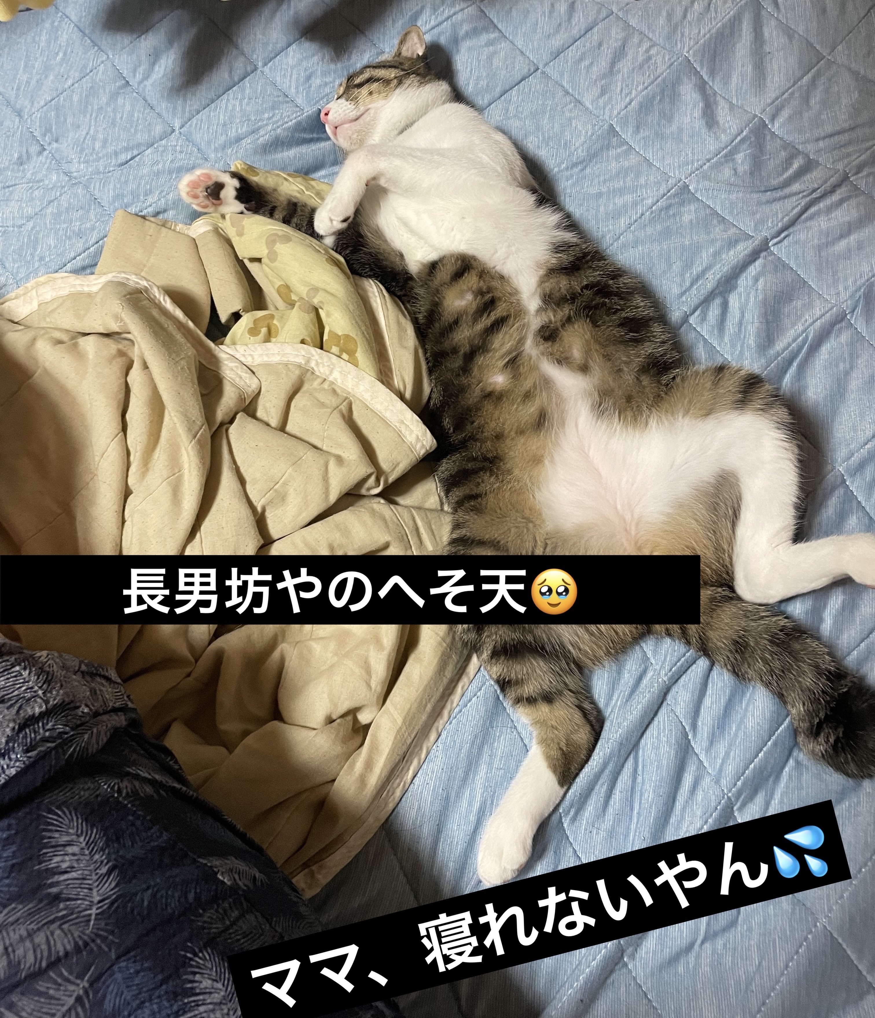 ジューシーラスティングティント/rom&nd/リップティントを使ったクチコミ（2枚目）