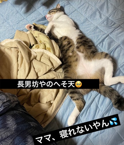 ジューシーラスティングティント/rom&nd/リップティントを使ったクチコミ(2枚目)