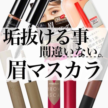 リシェ カラーリング アイブロウマスカラ/Visée/眉マスカラを使ったクチコミ(1枚目)