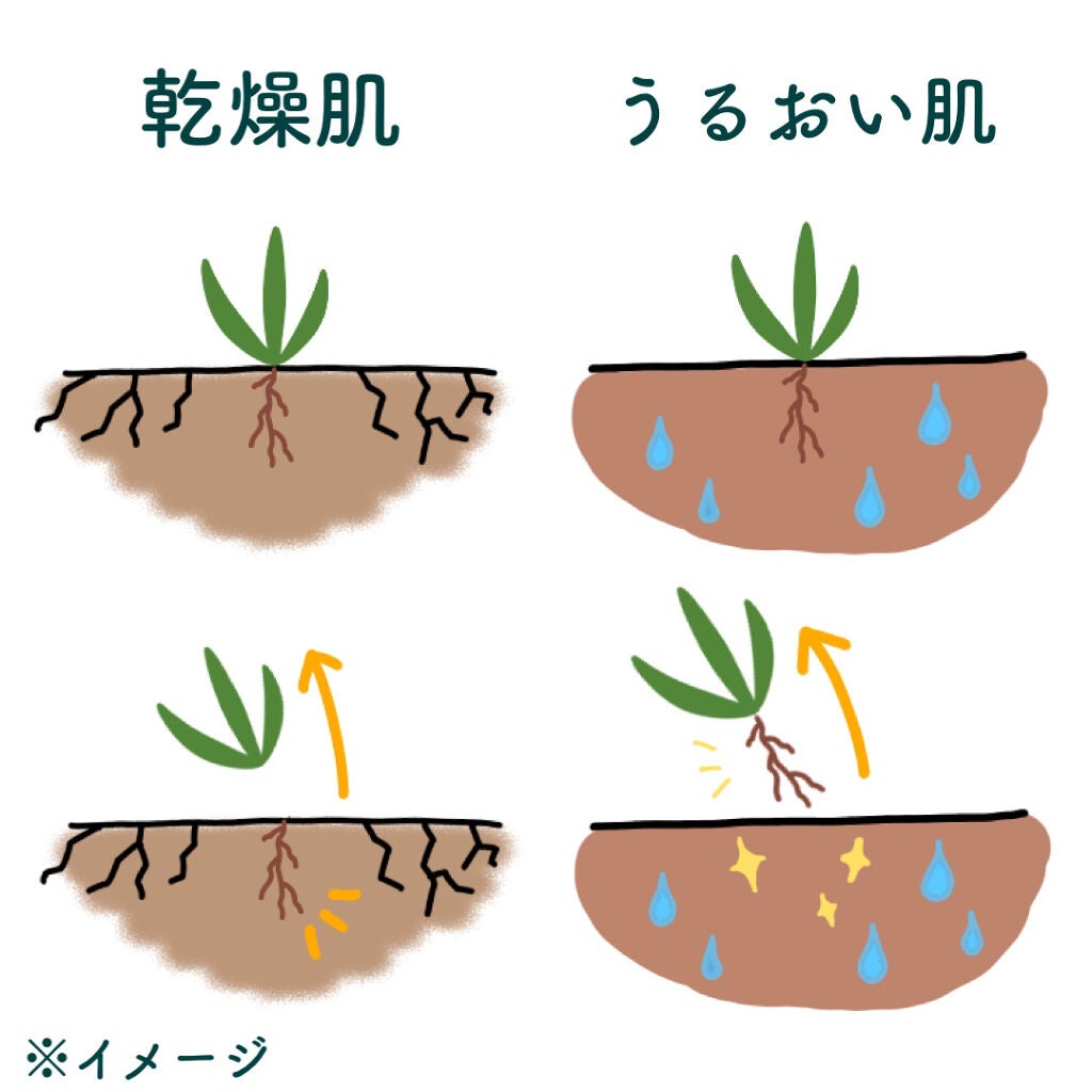 マイルド&モイスチャーアロエジェル/ネイチャーリパブリック/ボディローションを使ったクチコミ(4枚目)