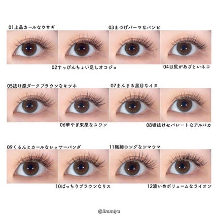 ドーリーウインク サロンアイラッシュ/ドーリーウインク/つけまつげを使ったクチコミ(5枚目)