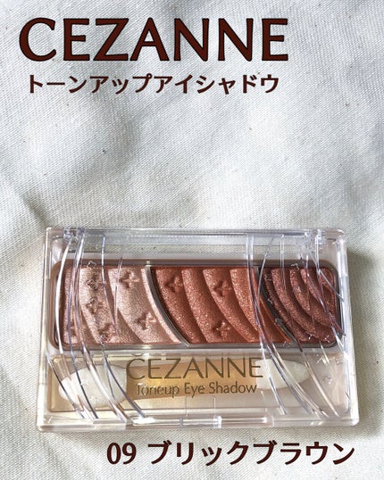 #217S ブレンディング ブラシ/M・A・C/メイクブラシを使ったクチコミ(9枚目)