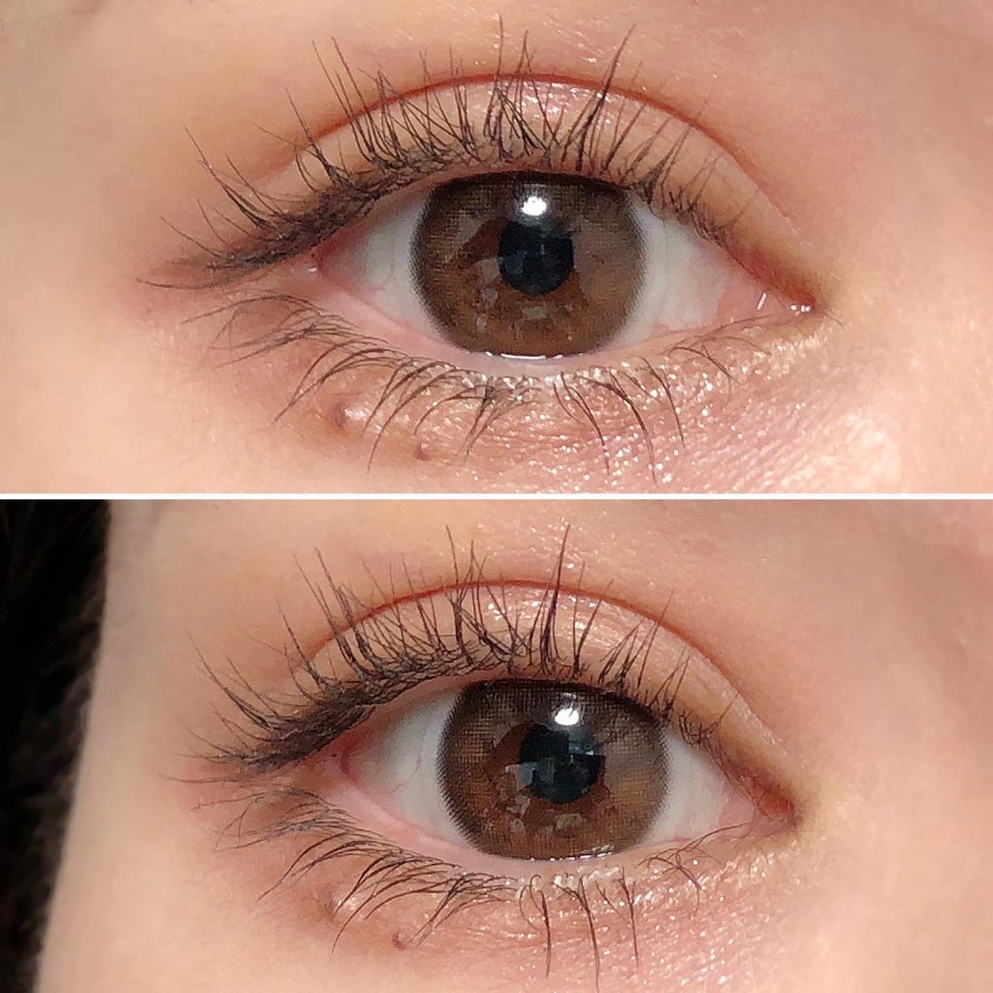 megu on LIPS 「#コスメ購入品キャンメイクの#シルキースフレアイズの#リマグレ..」(1枚目)