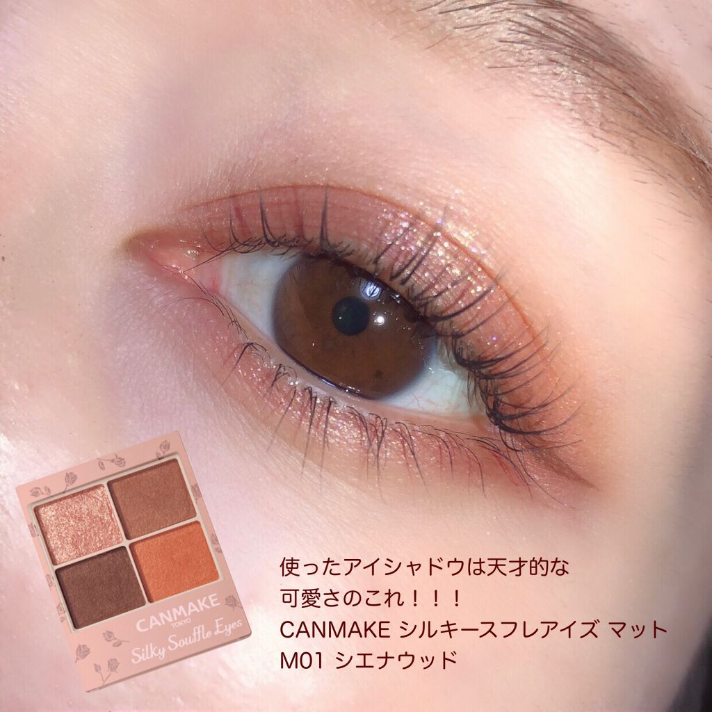 シルキースフレアイズ(マットタイプ)/キャンメイク/アイシャドウパレットを使ったクチコミ(6枚目)