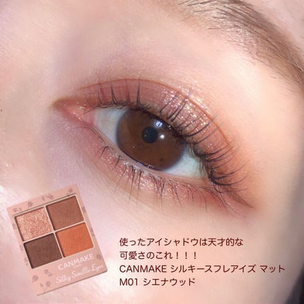シルキースフレアイズ(マットタイプ)/キャンメイク/アイシャドウパレットを使ったクチコミ(6枚目)