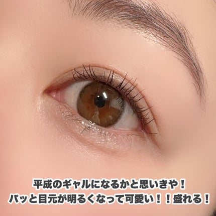 アイシャドウブラシ 熊野筆/CipiCipi/メイクブラシを使ったクチコミ(8枚目)