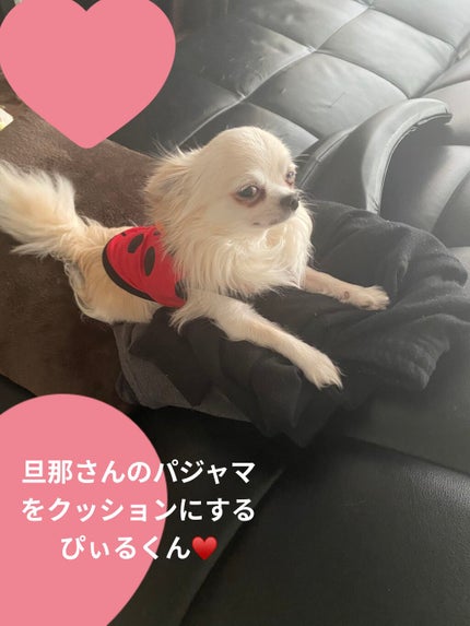 ニュアンスカラー シャドウ/BABYMEE/単色アイシャドウを使ったクチコミ(5枚目)