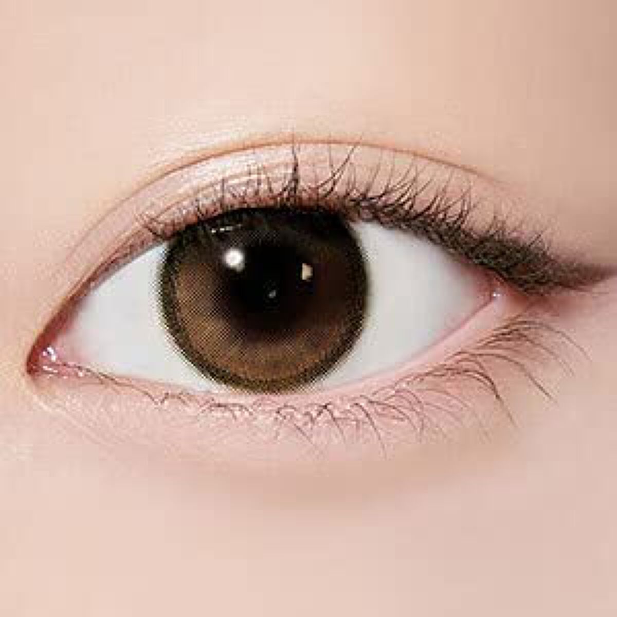 Secretive Kristen 1day レッドブラウン