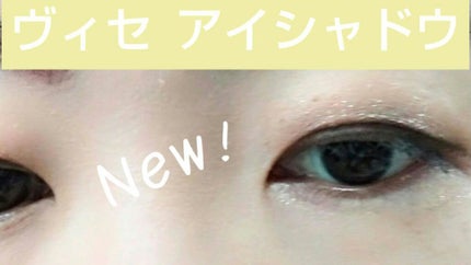 パノラマデザイン アイパレット/Visée/アイシャドウパレットを使ったクチコミ(3枚目)