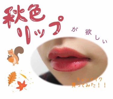 【早速レビューだよっ💋】
CANMAKEのステイオンバームルージュ09
を買いました！💄
これからの秋メイクに向けて、ちょっと
落ち着いた色味のリップが欲しくて
09番にしました！
腕に出した色や写真の