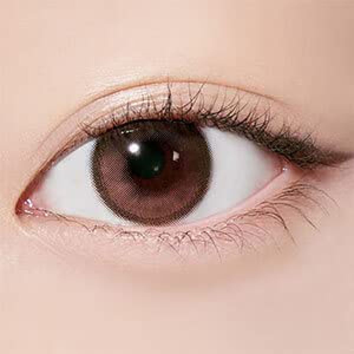 Secretive Kristen 1day ピンクブラウン