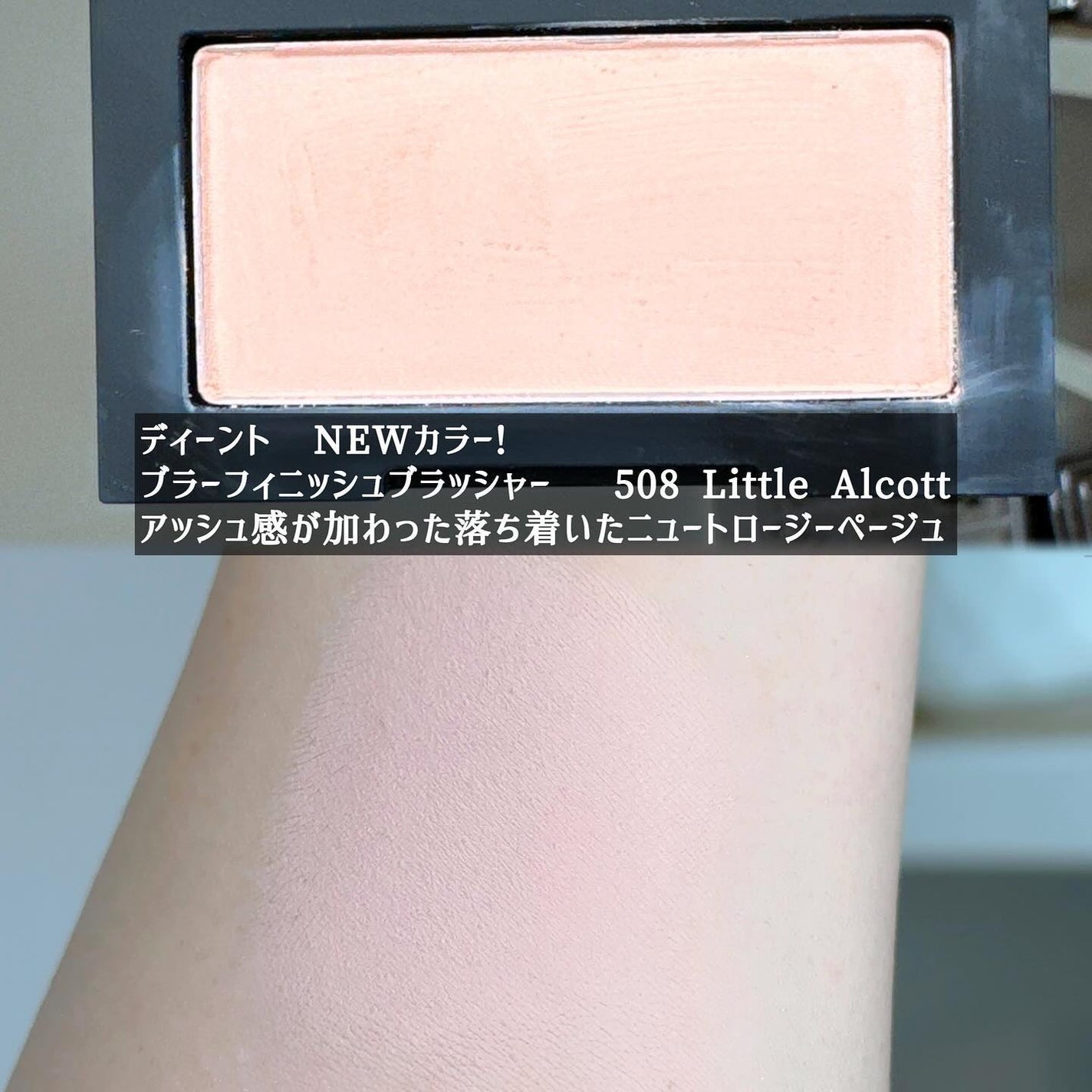 ブラーフィニシュシャドウパレット/Dinto/アイシャドウパレットを使ったクチコミ(7枚目)