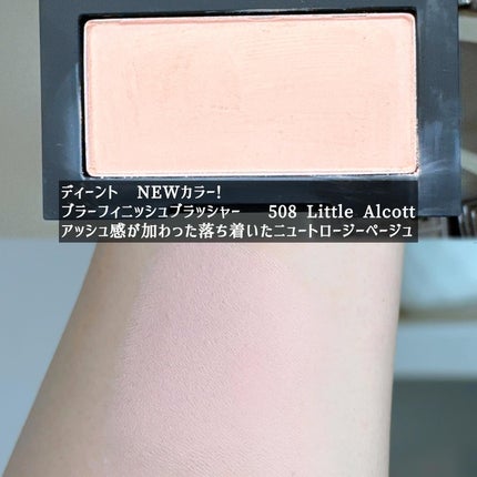 ブラーフィニシュシャドウパレット/Dinto/アイシャドウパレットを使ったクチコミ(7枚目)