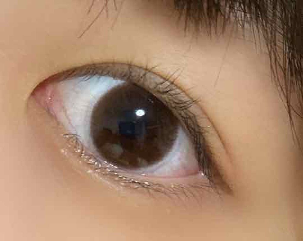 ReVIA CIRCLE 1day/ReVIA/ワンデー(1DAY)カラコンを使ったクチコミ(2枚目)