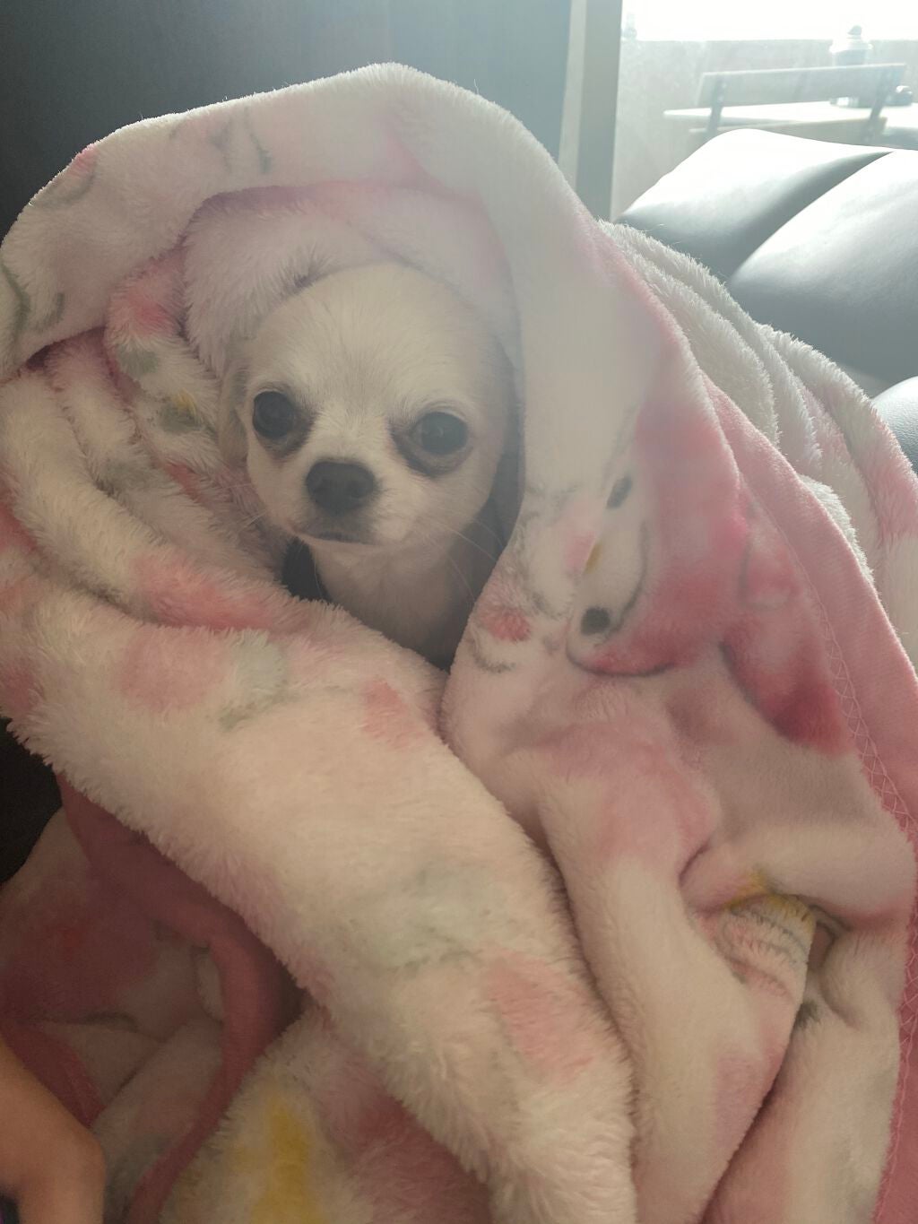 POWER 10 FORMULA VE EFFECTOR/It's skin/美容液を使ったクチコミ(9枚目)