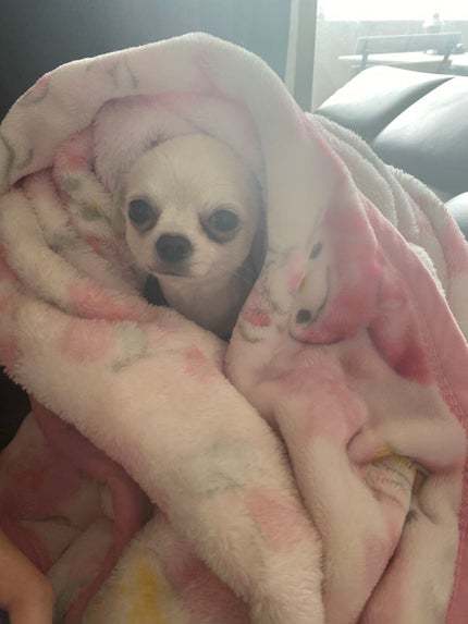 POWER 10 FORMULA VE EFFECTOR/It's skin/美容液を使ったクチコミ(9枚目)