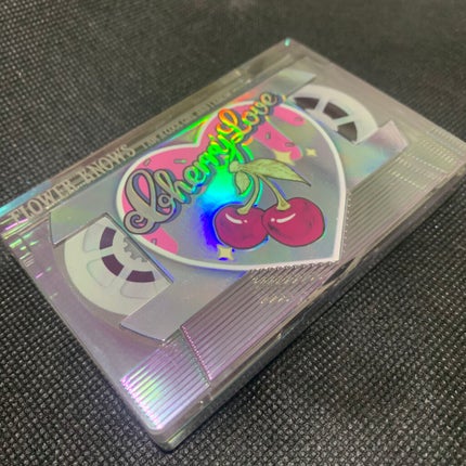 レトロマグネティック アイシャドウパレット/FlowerKnows/アイシャドウパレットを使ったクチコミ(2枚目)