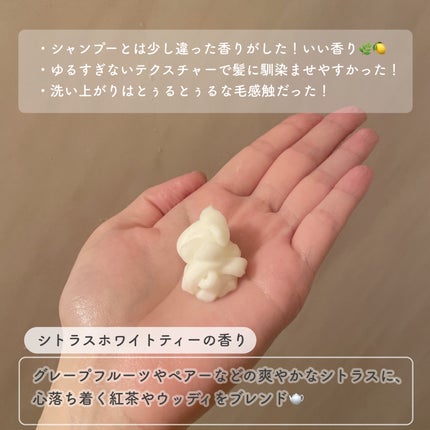 ãã«ã³ã ã¢ã€ã¹ããªããçŸå®¹æ¶²ã·ã£ã³ããŒïŒã¢ã€ã¹ããªãããªãã¢çŸå®¹æ¶²ããªãŒãã¡ã³ã/Purunt./åžè²©ã·ã£ã³ããŒã䜿ã£ãã¯ãã³ãïŒ4æç®ïŒ